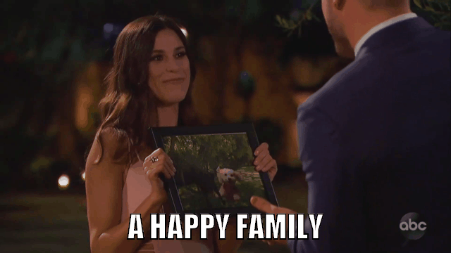 Bachelor GIFS Bachelor GIFS